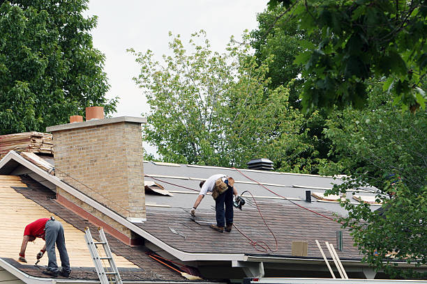 Best Roof Maintenance Services  in Walce Ridge, LA