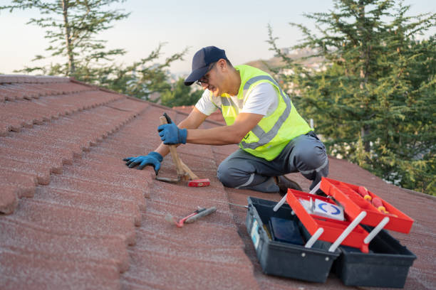 Best Roof Repair Services  in Walce Ridge, LA